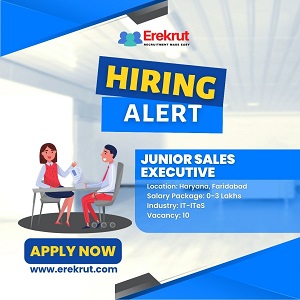 Junior Sales Executive Job At Susasiberg India Pvt Ltd