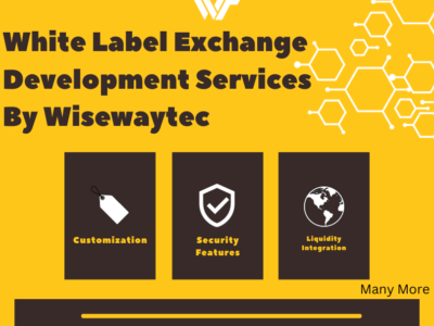 White Label Exchange Development Services By Wisewaytec