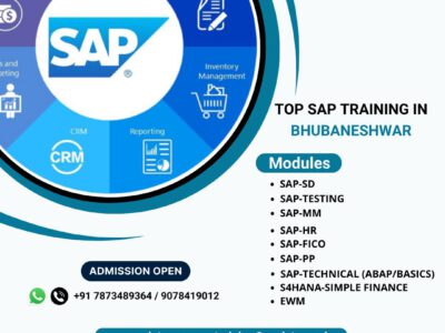 SAP Testing Training in Bhubaneswar