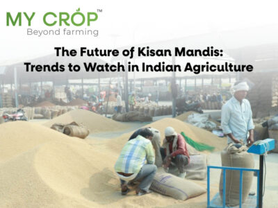 Connect with Kisan Mandi in India - Book My Crop Pvt Ltd