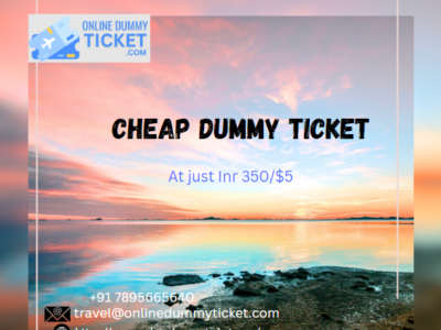 Cheap dummy ticket