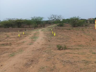  DTCP APPROVED PLOTS FOR SALE AT MOSUR