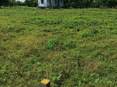 Dtcp And Rara Approved Plots For Sale At Veppampattu