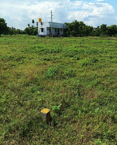 Dtcp And Rara Approved Plots For Sale At Veppampattu