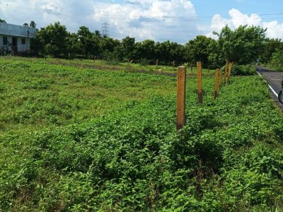 Dtcp And Rara Approved Plots For Sale At Veppampattu