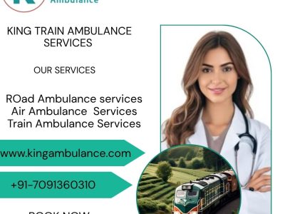 Choose Now King Train Ambulance Service in Pune to Shift Your Patient