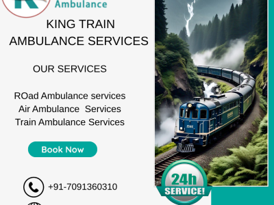 Choose King Train Ambulance Service in Raipur for your patient now.