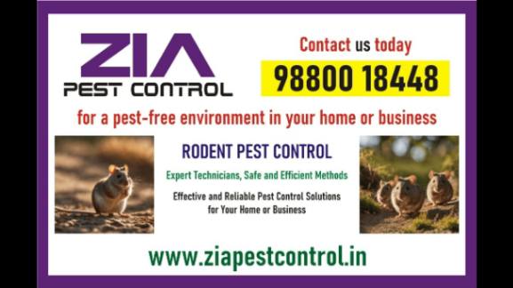 Rodent Control | Rodent treatment | Pest control services near me | 8071