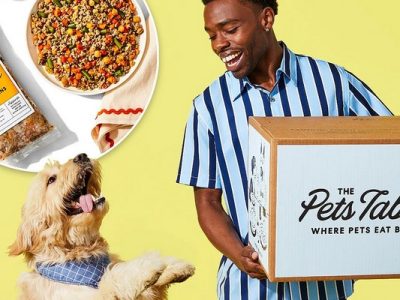 thepetstable. com 55% off all products