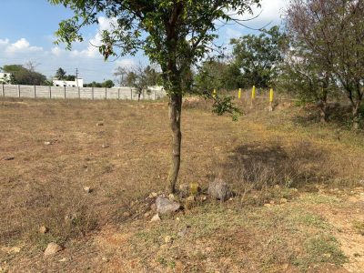 DTCP AND RARA APPROVED PLOTS FOR SALE AT VEPPAMPATTU