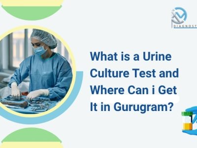 What Is a Urine Culture Test and Where Can I Get It in Gurugram?