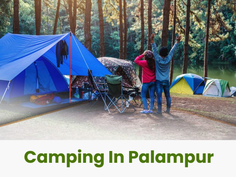 Best Camping in Palampur