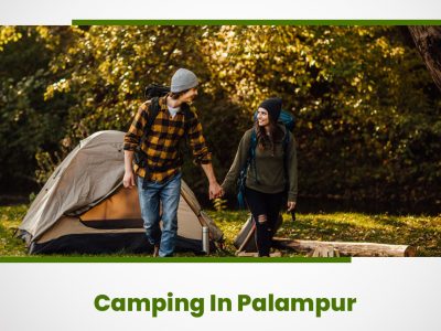 Best Camping in Palampur