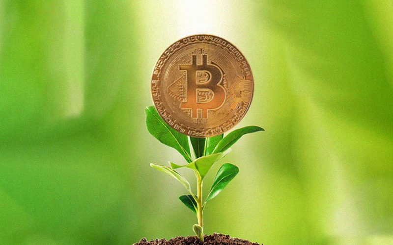Stream Lexapro 200 Plataforma -{Stream Lexapro 200 Estafa}-El papel de la IA en el trading: perspectivas de Stream Lexapro 200 ¡Plataforma de negociación!