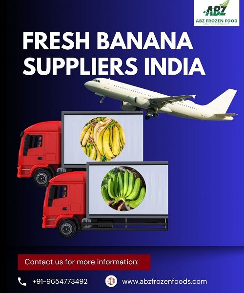 Global Supplier of Indian Bananas – Book Your Order Today