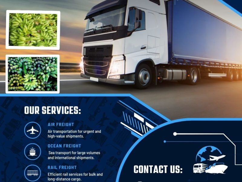 India’s Leading Banana Exporter – Global Shipping Available