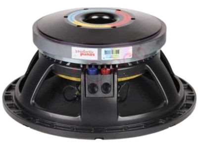 Premium Ferrite DJ Speakers for Powerful Sound in India