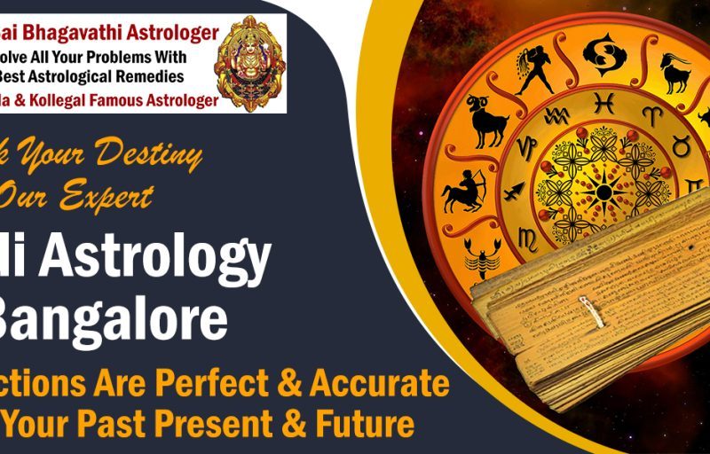 Nadi Astrology in Bangalore