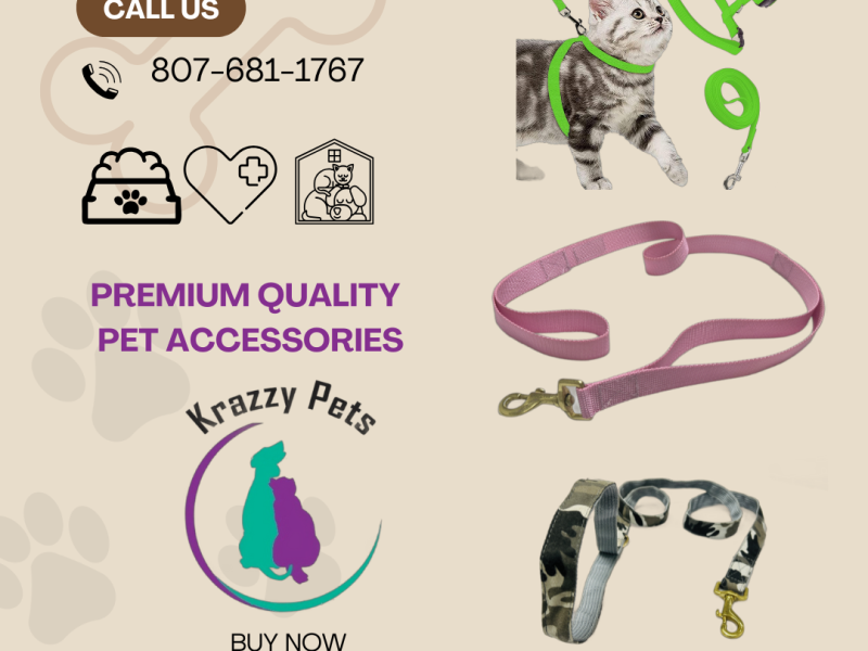 Buy Dog Neck Belt Online – Durable, Stylish & Comfortable Collars for Pets