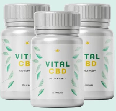 Are Vital CBD Capsules approved by the UK Food Standards Agency (FSA)?