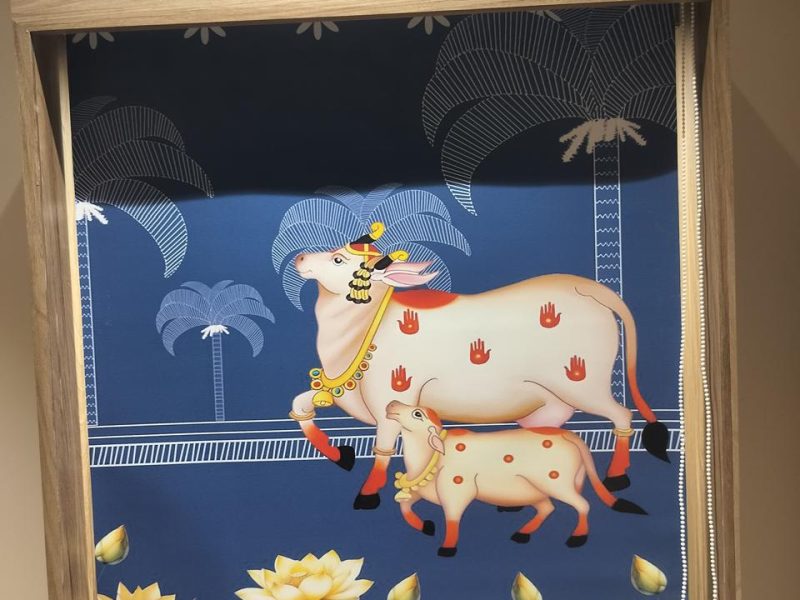 Window Blinds in Hyderabad