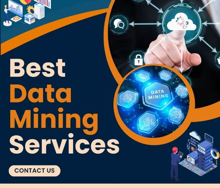 Outsource Data Mining Services at Affordable Prices