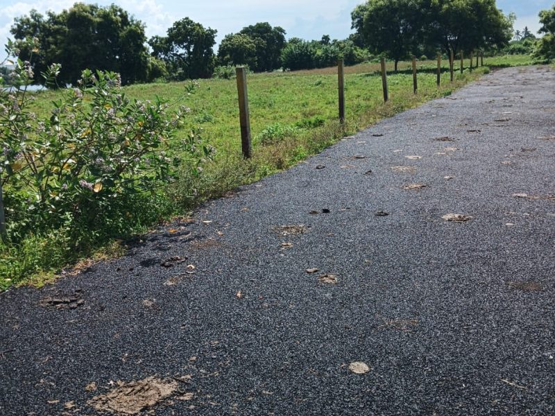 PLOTS SALE AT VEPPAMPATTU