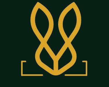 Stylish Brown Formal Shoes for Men – Premium Vegan Leather Design