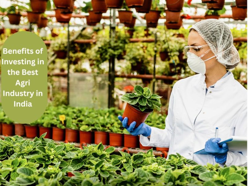 Benefits of Investing in the Best Agri Industry in India