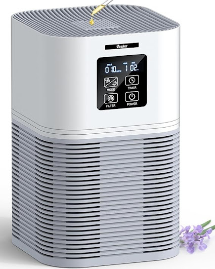 Hepa Air Purifier Australia: Best Models for Large Homes