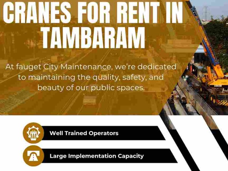 Are there 24/7 crane service providers in Tambaram?