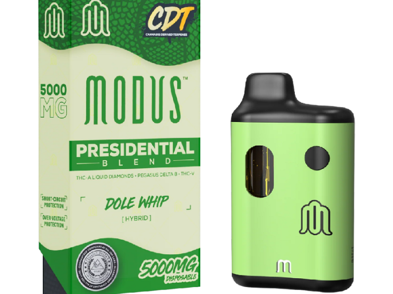 Modus Presidential Blend Disposable 5G Price In Bahawalpur/03174875200