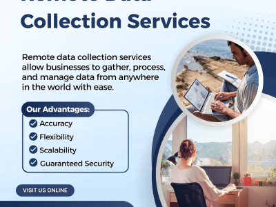 Best Remote Data Collection Services in India