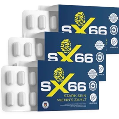 SX66
