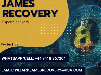 A LICENSED CRYPTO RECOVERY EXPERT