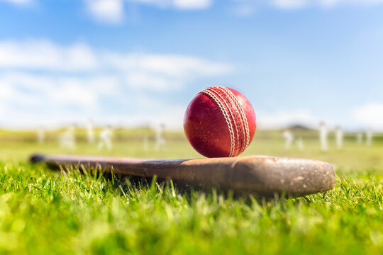 Get Real-Time Cricket Updates!