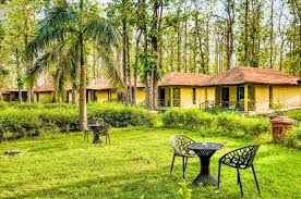 Stay Close to Nature at Bijrani Jungle Cottages