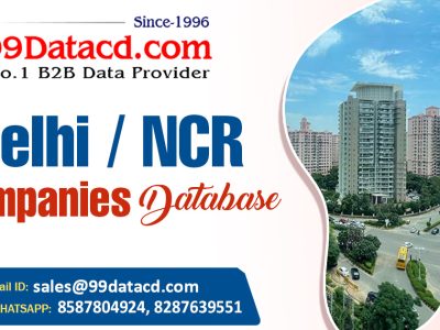 Grow Your Sales with Verified List of Companies in Delhi NCR