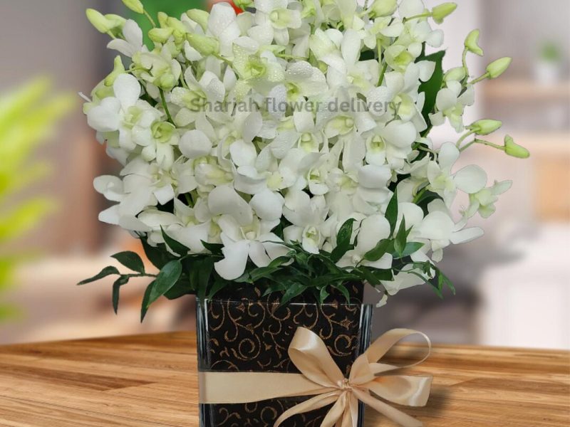 Flower Vase Collections from Sharjah Flower Delivery 🌸✨
