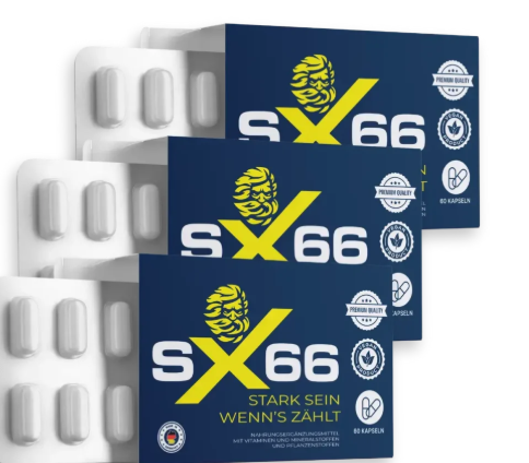 Wie lange dauert es, bis mit SX66 Ergebnisse sichtbar werden?
