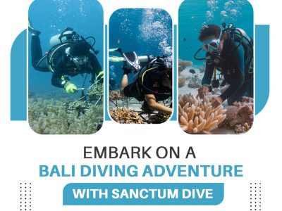 Embark on a Bali Diving Adventure with Sanctum Dive