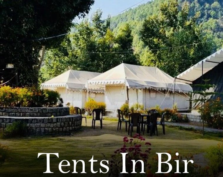 Stay in Beautiful Tents in Bir for Scenic Experiences