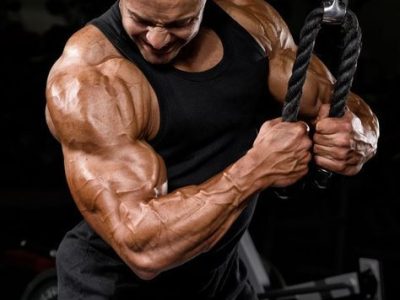 Best Sarms For Bulking: Building Strength and Mass: CrazyBulk’s Top Supplements for Bodybuilders