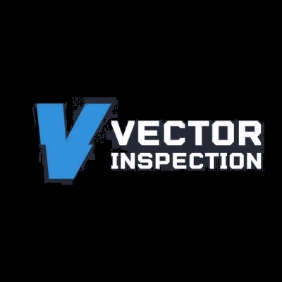 Vector Inspection