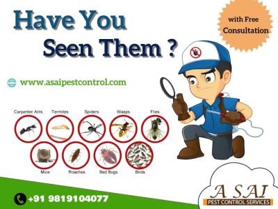 Residential Pest Control Mumbai – A SAI PEST CONTROL