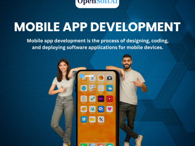 10 Ways a Custom Software Development Company Boosts ROI