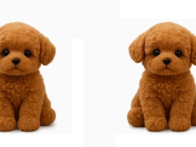 Froplay Dog uitgelegd: één merk, veel speeltjes, eindeloze verwarring