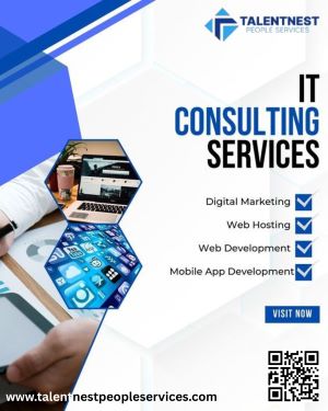 Business Consultant Services Providers in India