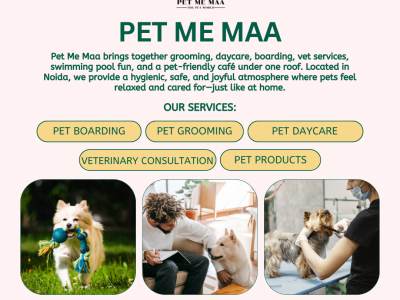 Pet Me Maa – Trusted Pet Daycare & Grooming in Noida