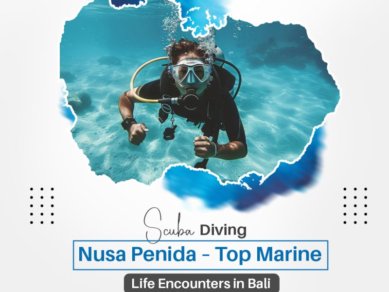 Scuba Diving Nusa Penida – Top Marine Life Encounters in Bali